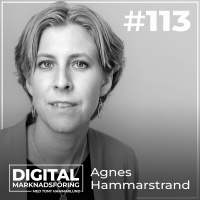 IMY-granskning, Data Privacy Framework och cookies – Agnes Hammarstrand #113