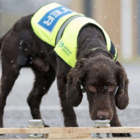 Sniffing out new perspectives! New opportunities in sludge dewatering
