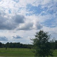 RAF286: Nature is Huge