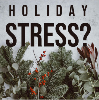 RAF342: Holiday Stress