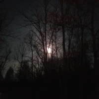 RAF053: The Story about my Back and What Comes Next