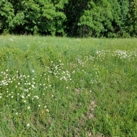 RAF074: Tempatation - What Do Supermodels Eat for Breakfast?