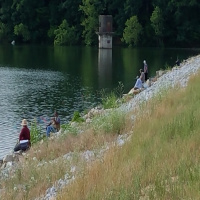 RAF078: Uber Diet Report Part 2