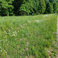 RAF080: The Economics of Weight Loss