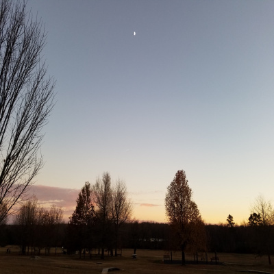 Running: A Fever