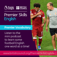 Premier Vocabulary - Medium - Long-term injury