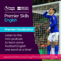 Premier Vocabulary - Hard - Couldnt hit a barn door with a banjo