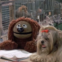 Movin Right Along 330: Talking Dogs