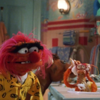 6.03: The Muppets Get Funky