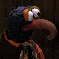 Gonzo Puts Things in His Pants