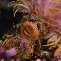 Miss Piggy Is Here!
