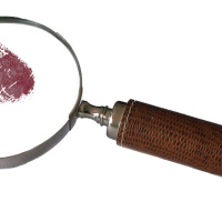 Evidence 101 Masterclass - From Torts to Tony Soprano