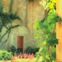 Chapter 20: The Enchanted April by Elizabeth Von Arnim