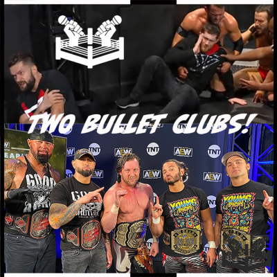 Brothers Of Discussion - A Wrestling Podcast