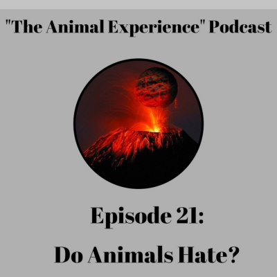 The Animal Experience