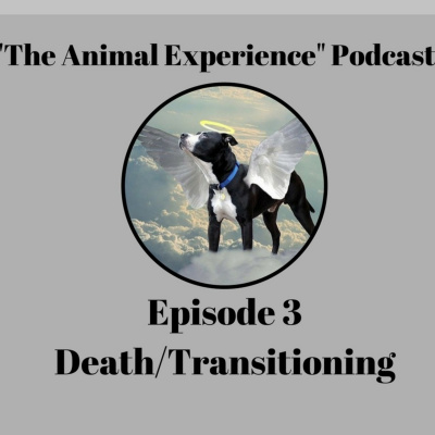 The Animal Experience