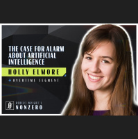 The case for alarm about artificial intelligence (Robert Wright amp Holly Elmore)