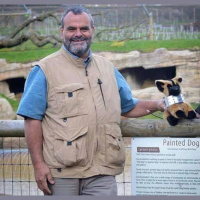 Saving African Painted Dogs w/Dr Greg Rasmussen
