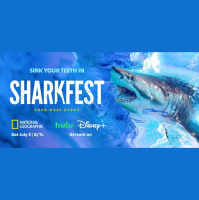 Episode 340: Shark Fest w/Dr Yanis Papastamatiou