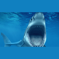 Episode 191: Man Eater Myths, Legends, Truths