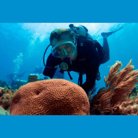 Sharkfest w/Dr Mike Heithaus