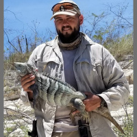 Episode 120: Intrigued by Iguanas w/Chris Pellecchia