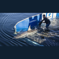 Facts over Fear w/OCEARCH Founder Chris Fischer