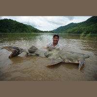 Episode 333: Monster Fish w/Dr Zeb Hogan