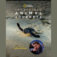 Episode 363: Incredible Animal Journeys w/Sarah Gibbs
