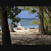 Papua New Guinea Experiences: Conservation, Culture, and Wildlife