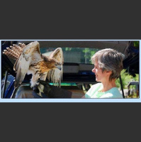 Episode 170: Wildlife Rehabilitation w/author Suzie Gilbert