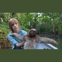 Episode 190: Sloth Conservation Foundations Dr Rebecca Cliffe
