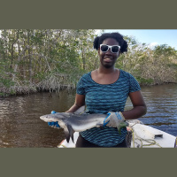 Breaking Barriers in Shark Science w/Jasmin Graham