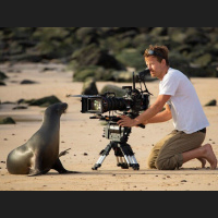 Episode 353: Animals Up Close w/Bertie Gregory