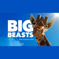 Episode 334: Big Beasts w/Tom Hugh Jones  Bill Markham