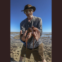 Episode 354: Mystery of Octopuses w/Dr David Scheel