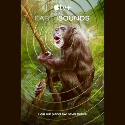 The All Creatures Podcast