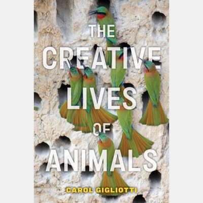 The All Creatures Podcast