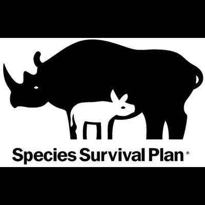 The All Creatures Podcast