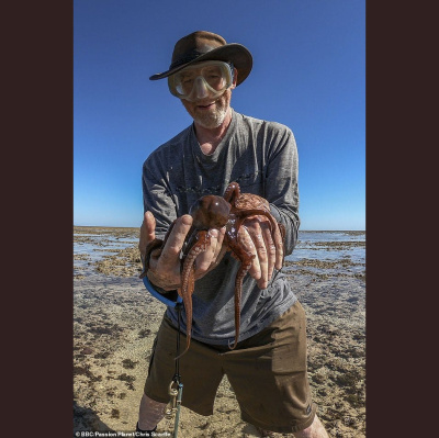 The All Creatures Podcast