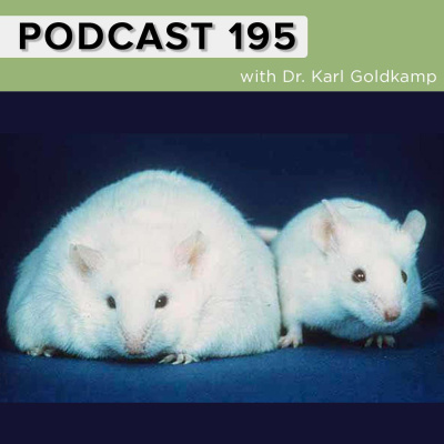 Keto Naturopath