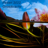 GV Podcast #01 Groeikracht.