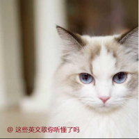 Young for You 翻唱