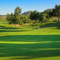 How to Make Your Lawn Look Like a Golf Course