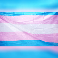 HIGHLIGHT: Gender Diversity Specialist Settles The Controversy Around Those Transgender Comments Made By Perth Mayor