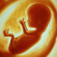 SAVING BABIES PART ONE LIFE BEGINS ..... it is awesome