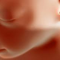 SAVING BABIES PART TWO WHY... AND HOW THEY SLAUGHTER THEM