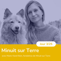 #MerryBasilic : Idées cadeaux pour toute la famille avec Minuit sur Terre
