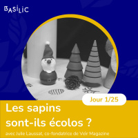 #MerryBasilic : Bien choisir son sapin de Noël
