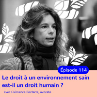 Reconnaître le droit à un environnement sain comme un droit humain, Clémence Bectarte, avocate et coordinatrice du groupe daction judiciaire de la Fédération internationale des ligues des droits de lhomme